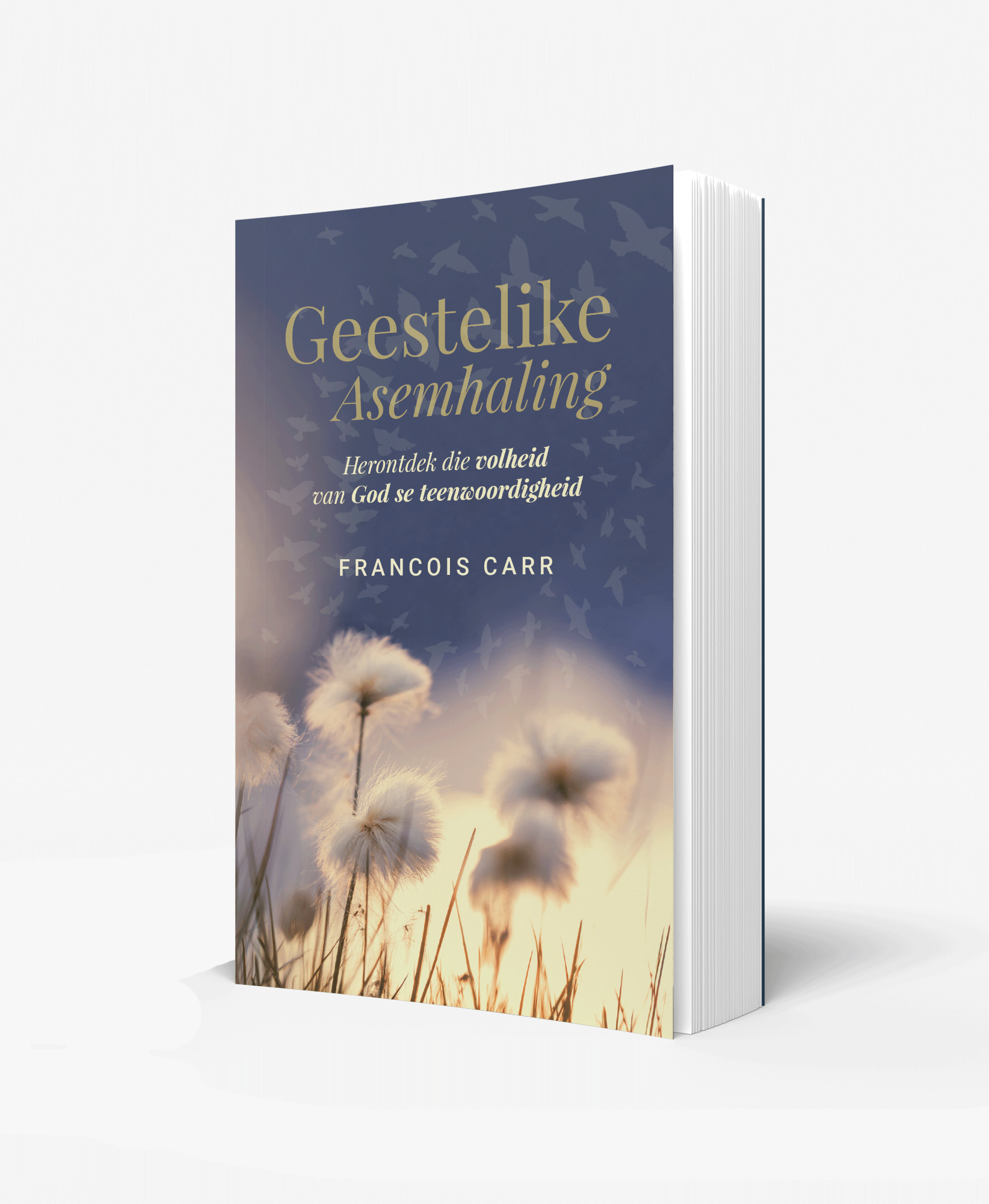 Geestelike Asemhaling
